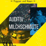 Sa. 10. Feb: Rauschkollektiv - Pappen und Nasen